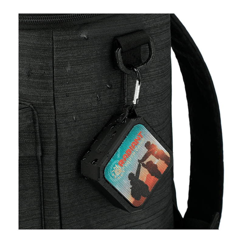 STRAYER Blackwater Outdoor Waterproof Bluetooth Speaker