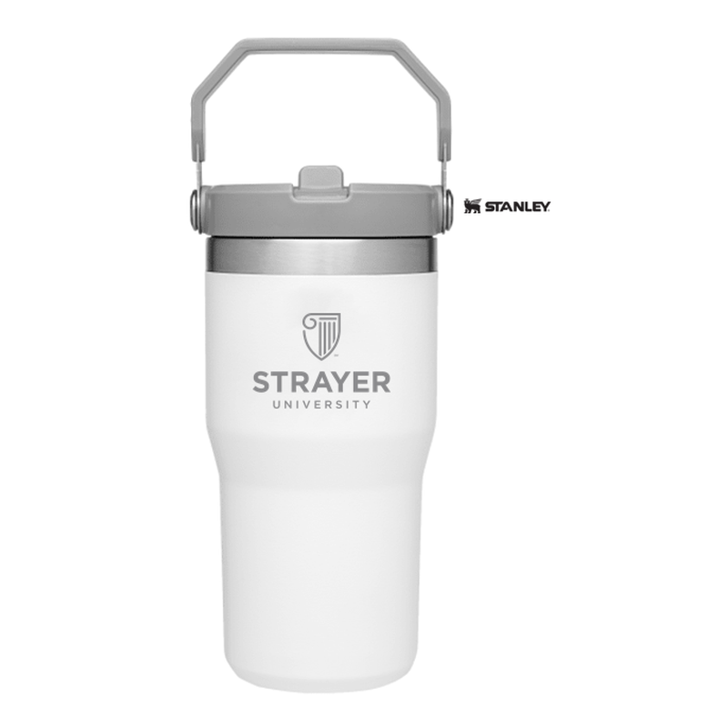 NEW STRAYER Stanley IceFlow™ Flip Straw Tumbler 20 oz - POLAR
